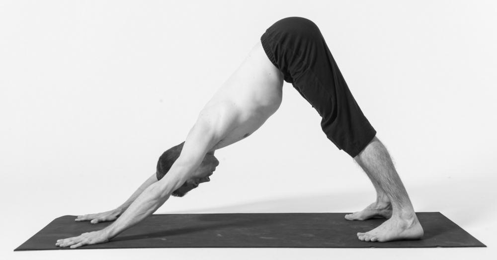 Adho Mukha Svanasana yoga