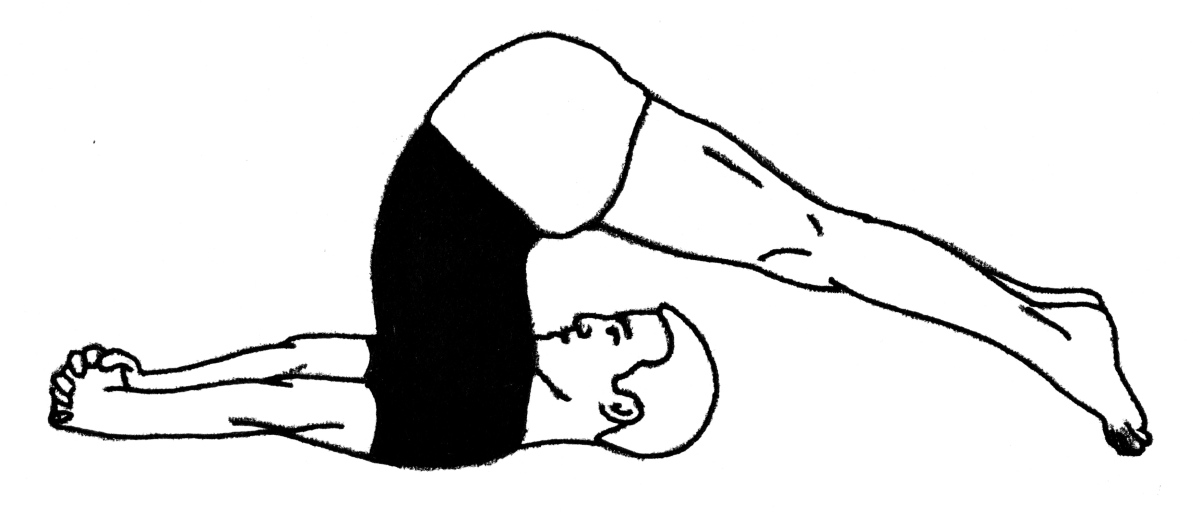 Halasana yogasana