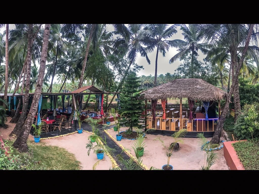 -View-4