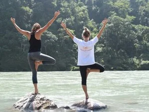 300 Hour Vinyasa Flow & Ashtanga Yoga Teacher Training-Image7