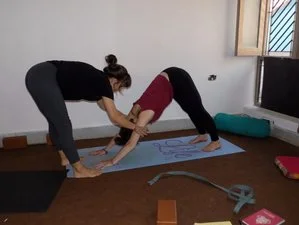 300 Hour Vinyasa Flow & Ashtanga Yoga Teacher Training-Image14