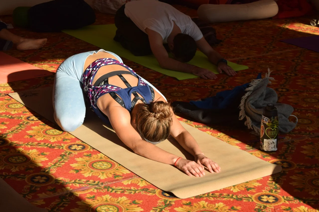 300 Hour Vinyasa Flow & Ashtanga Yoga Teacher Training-Image15