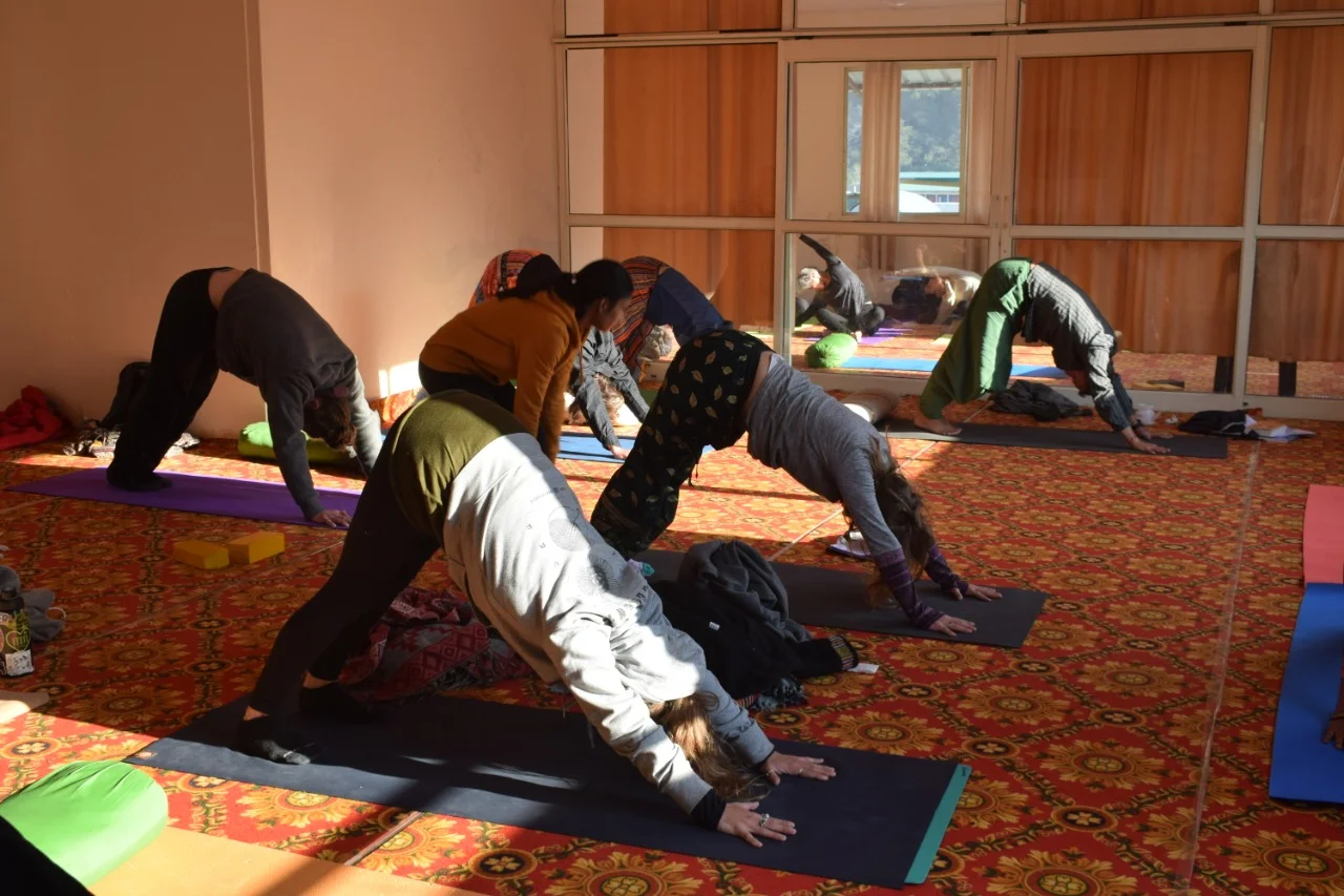 300 Hour Vinyasa Flow & Ashtanga Yoga Teacher Training-Image19