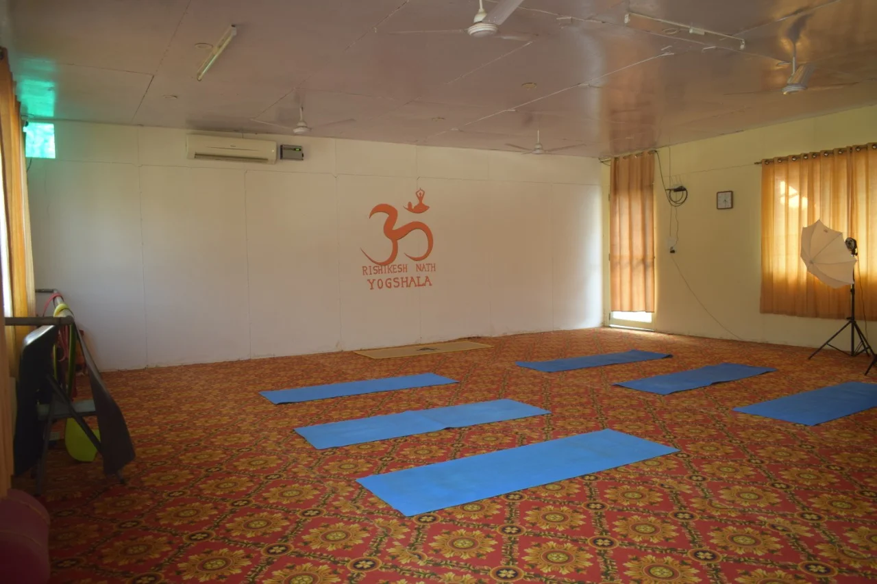 300 Hour Vinyasa Flow & Ashtanga Yoga Teacher Training-Image30