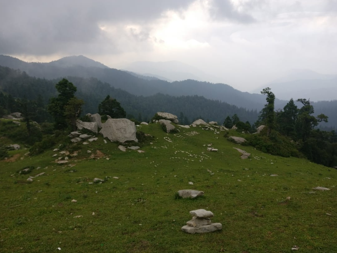 -View-4