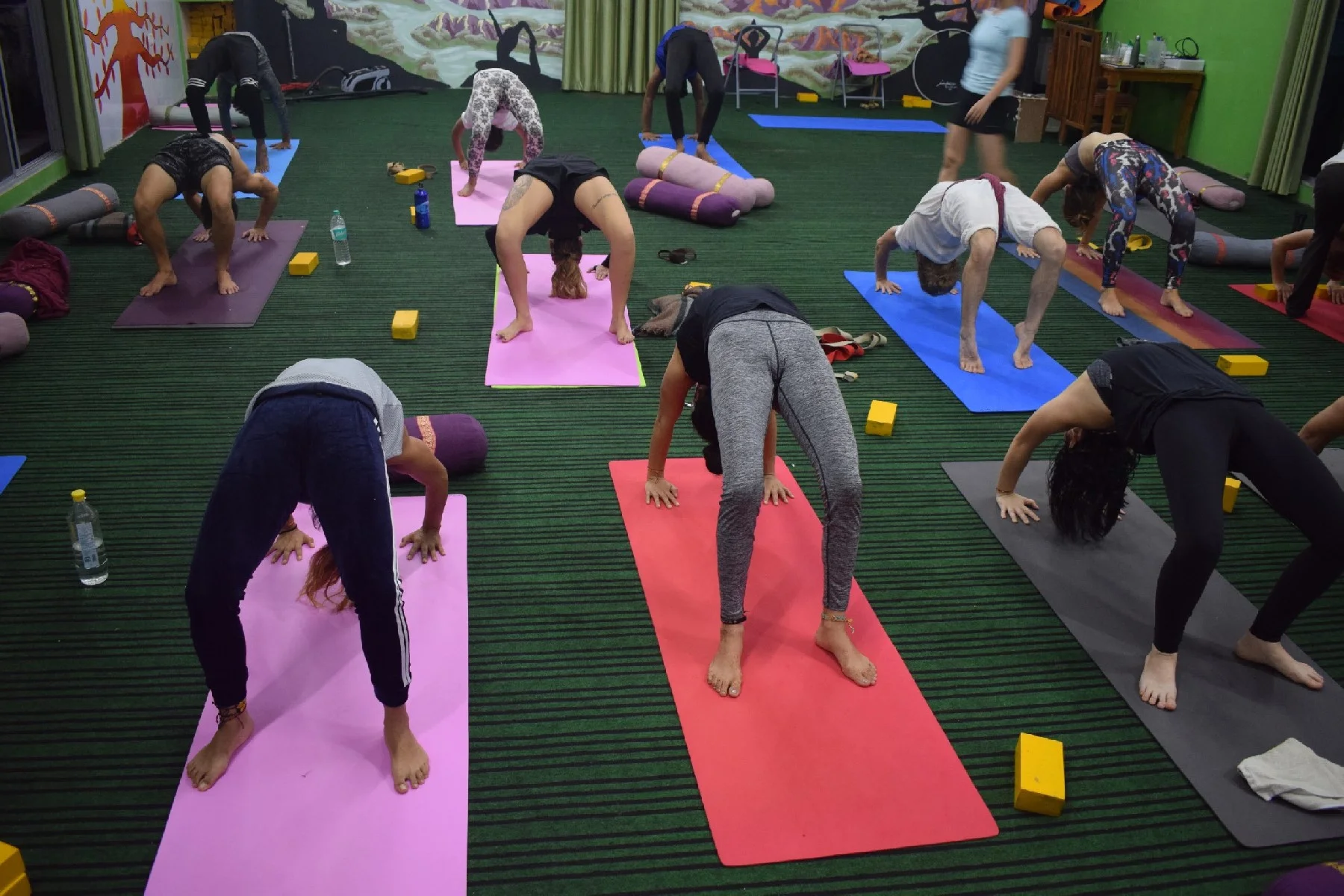200 Hours Hatha Yoga Teacher Training-Image16