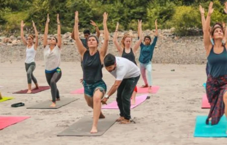 100 Hours Multi - Style Online Yoga Teacher Training-Image8