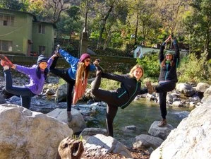 100 Hours Multi - Style Online Yoga Teacher Training-Image12