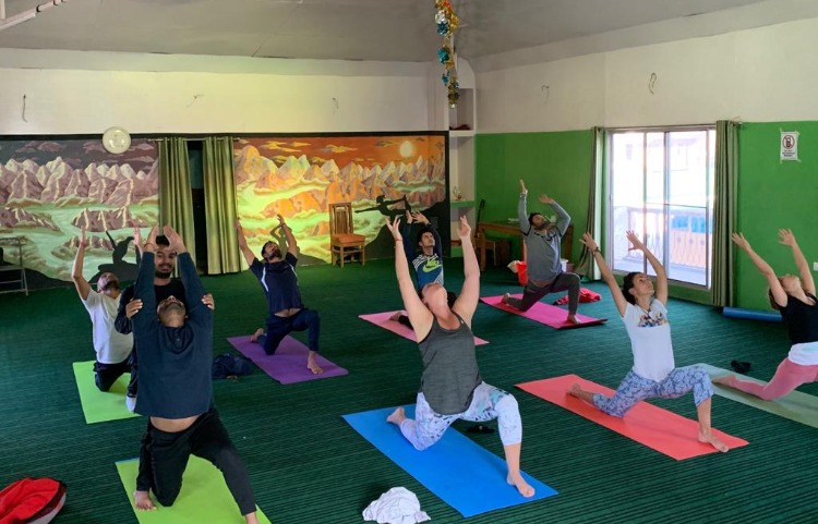 100 Hours Multi - Style Online Yoga Teacher Training-Image13