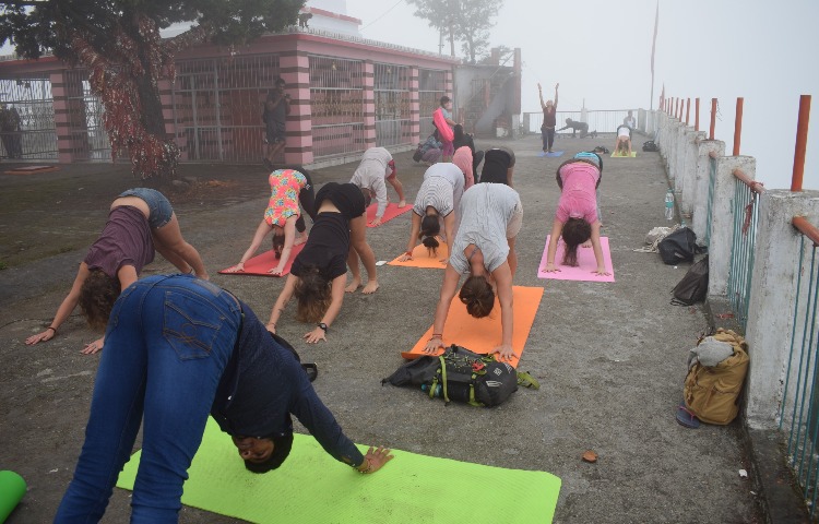 100 Hours Multi - Style Online Yoga Teacher Training-Image15