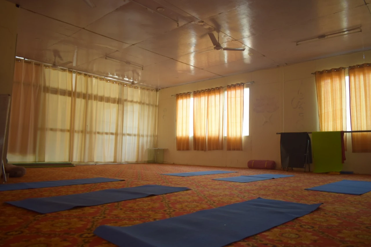 100 Hours Multi - Style Online Yoga Teacher Training-Image27