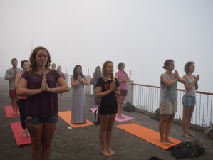 100 Hours Multi - Style Online Yoga Teacher Training-Image28