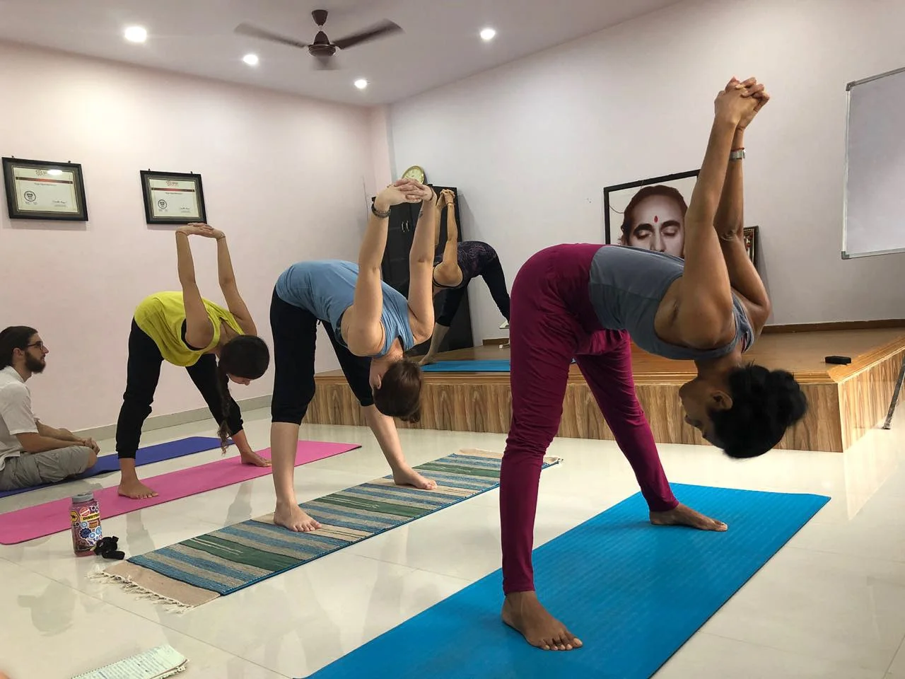 50 Hour Hatha & Ashtanga Vinyasa Yoga Teacher Training-Image9