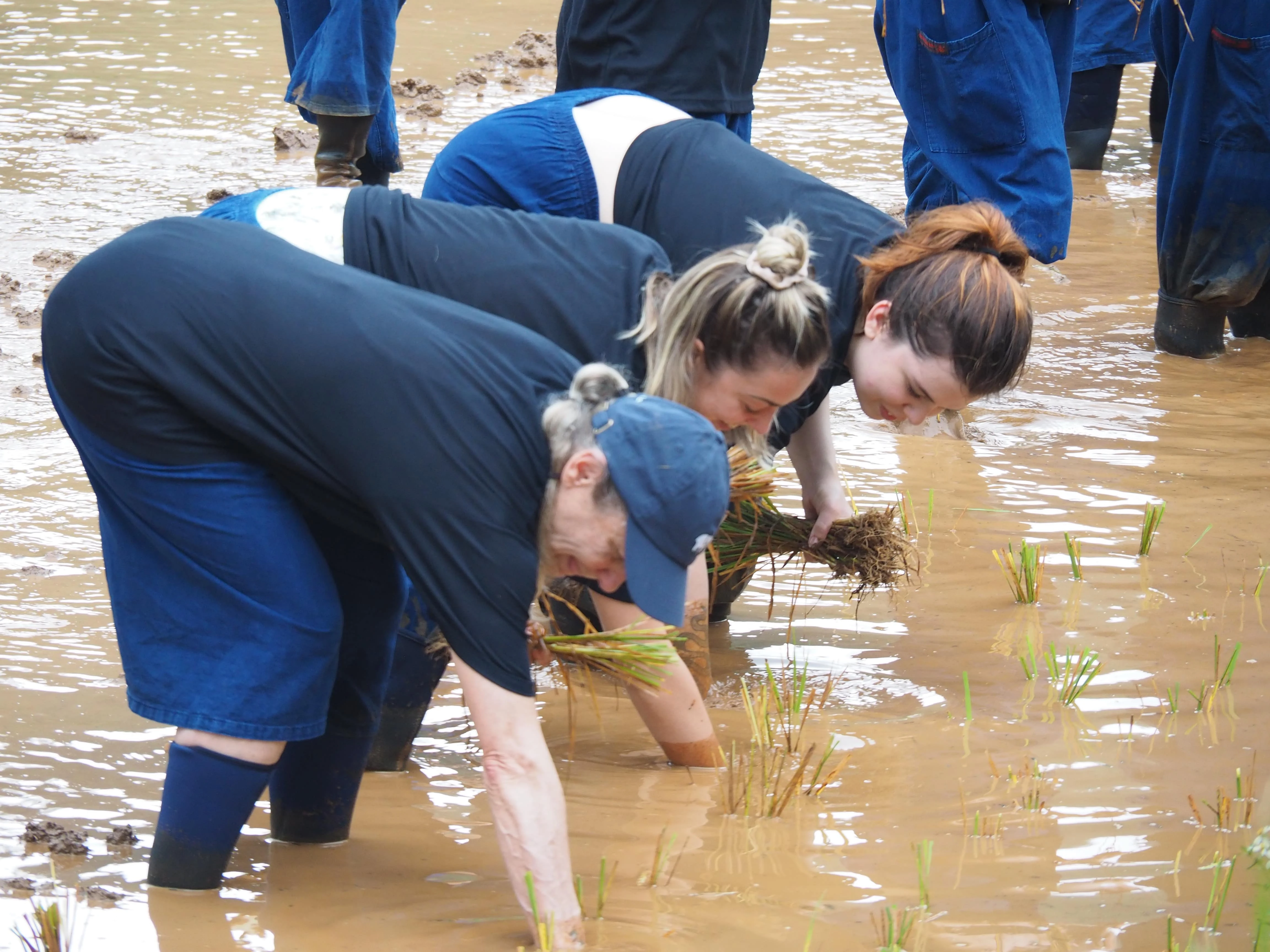 500 Hour Yoga Teacher Training In Chiang Mai, Thailand-Image23