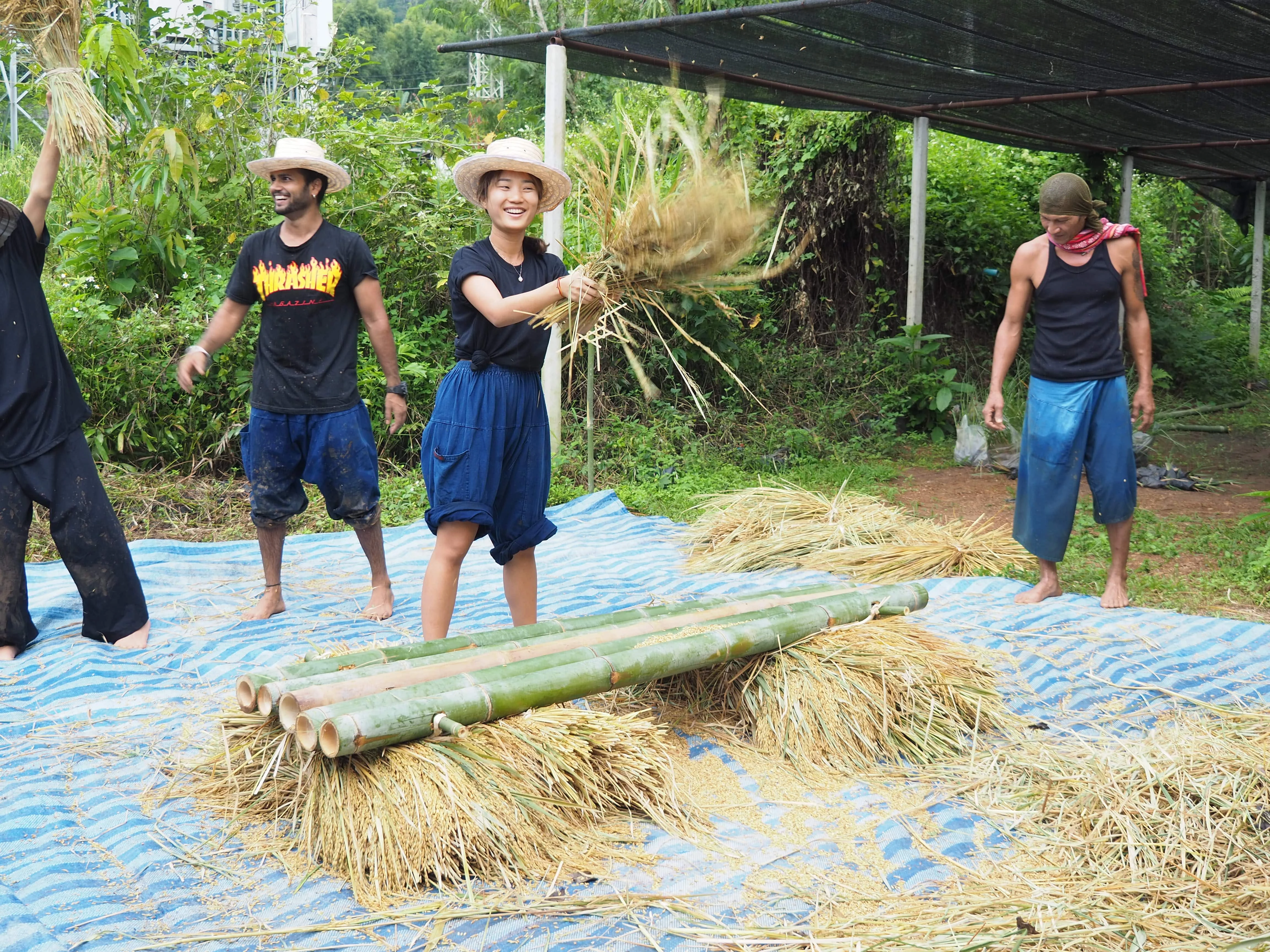 500 Hour Yoga Teacher Training In Chiang Mai, Thailand-Image25