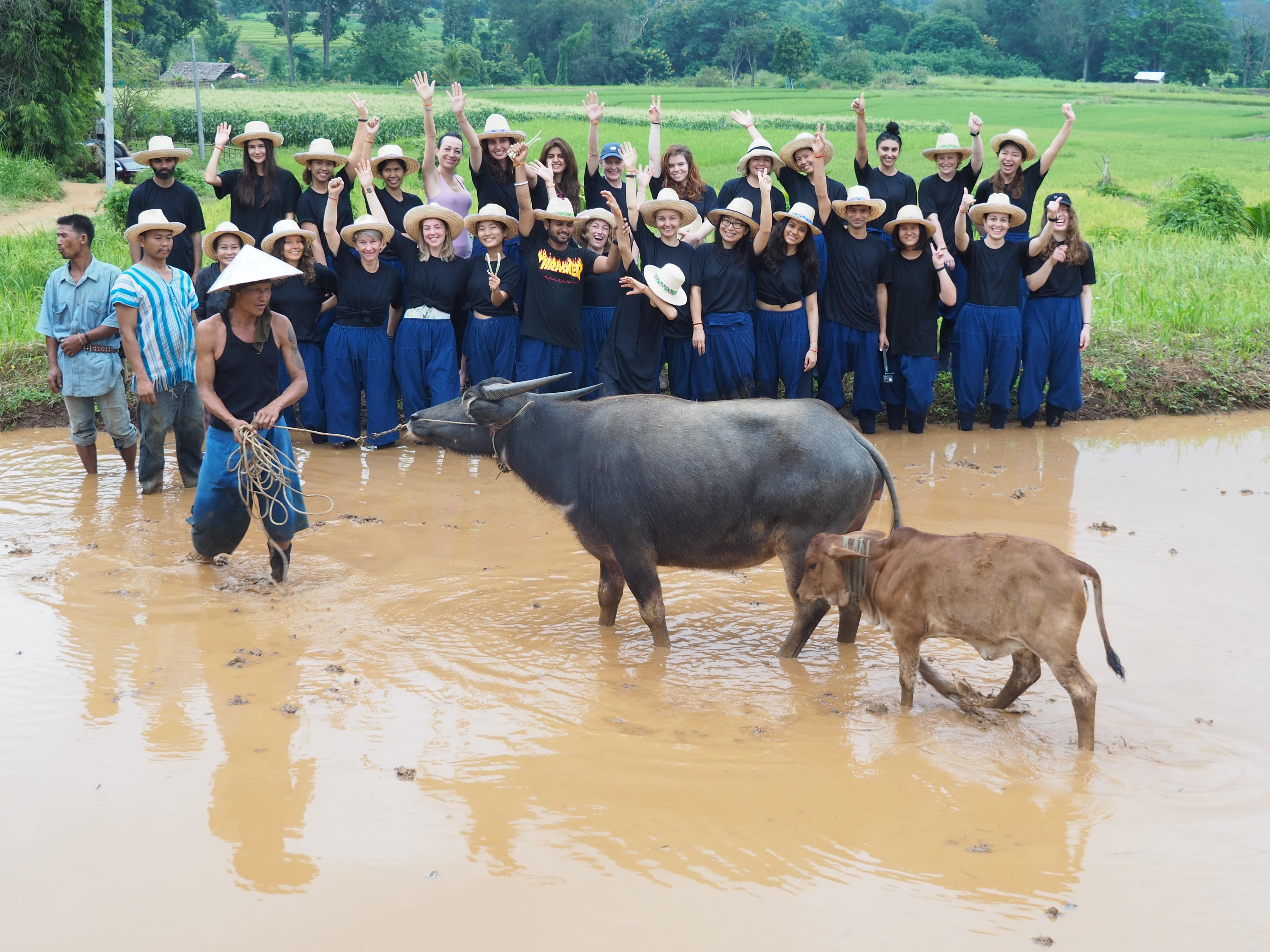 300 hour Yoga Teacher Training in Chiang Mai, Thailand-Image21
