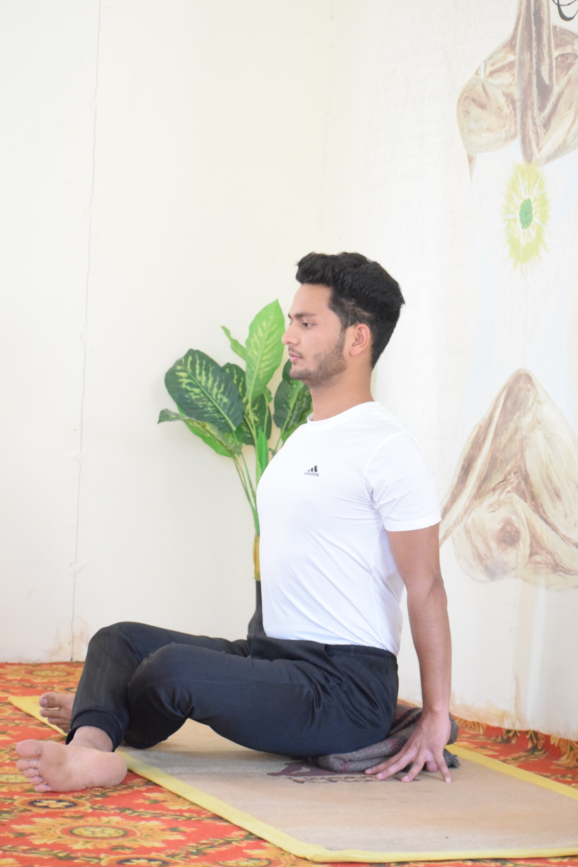 200-Hour Multi-Style Certified Online Yoga Teacher Training Course (Ashtanga, Hatha, Vinyasa)-Image6