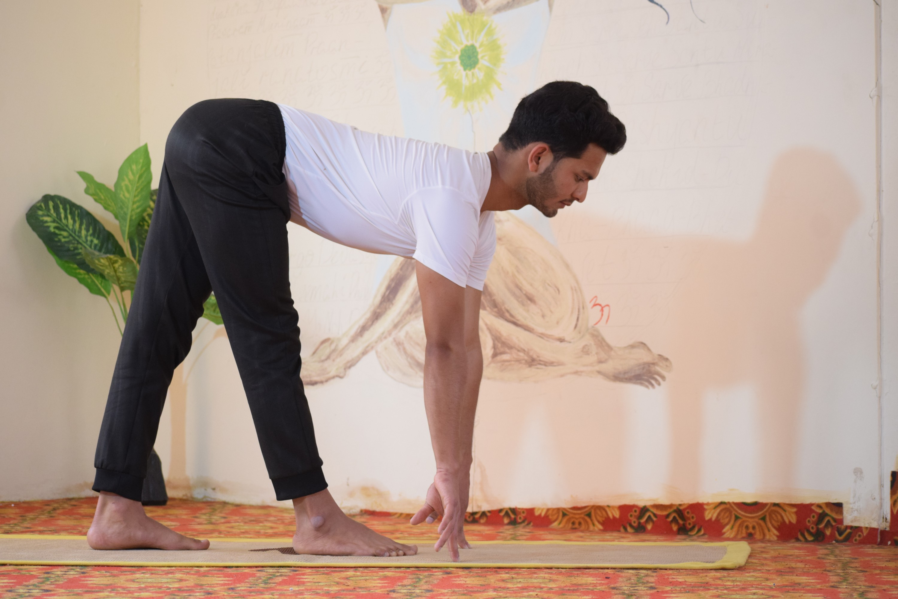 200-Hour Multi-Style Certified Online Yoga Teacher Training Course (Ashtanga, Hatha, Vinyasa)-Image7