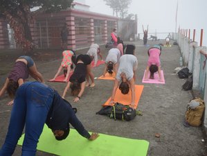 200-Hour Multi-Style Certified Online Yoga Teacher Training Course (Ashtanga, Hatha, Vinyasa)-Image10