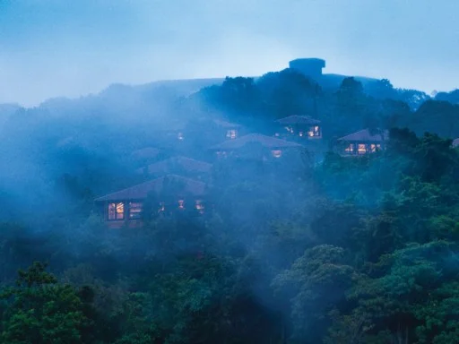 -View-2