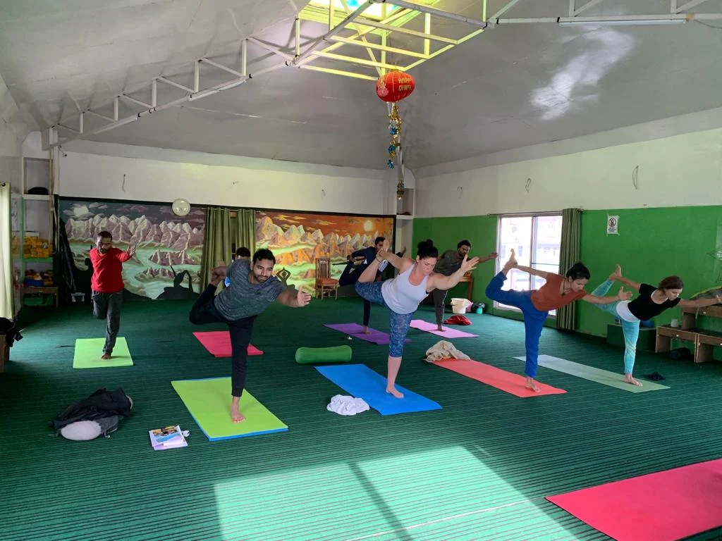 200 Hours Vinyasa-Ashtanga Yoga Teacher Training-Image13