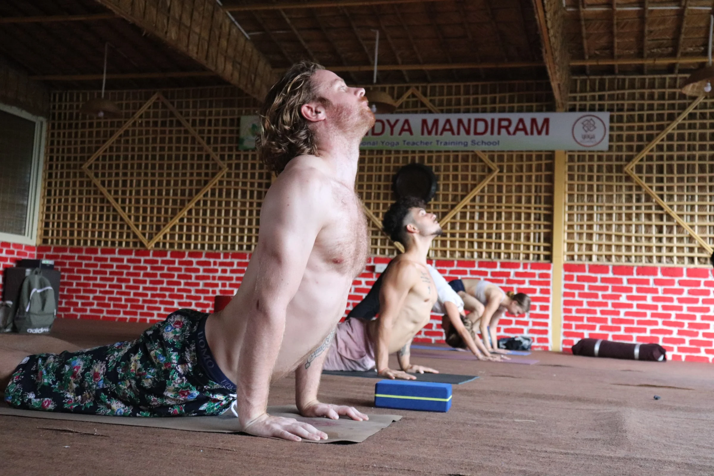 500 Hours Hatha & Ashtanga Vinyasa Yoga Teacher Training-Image8