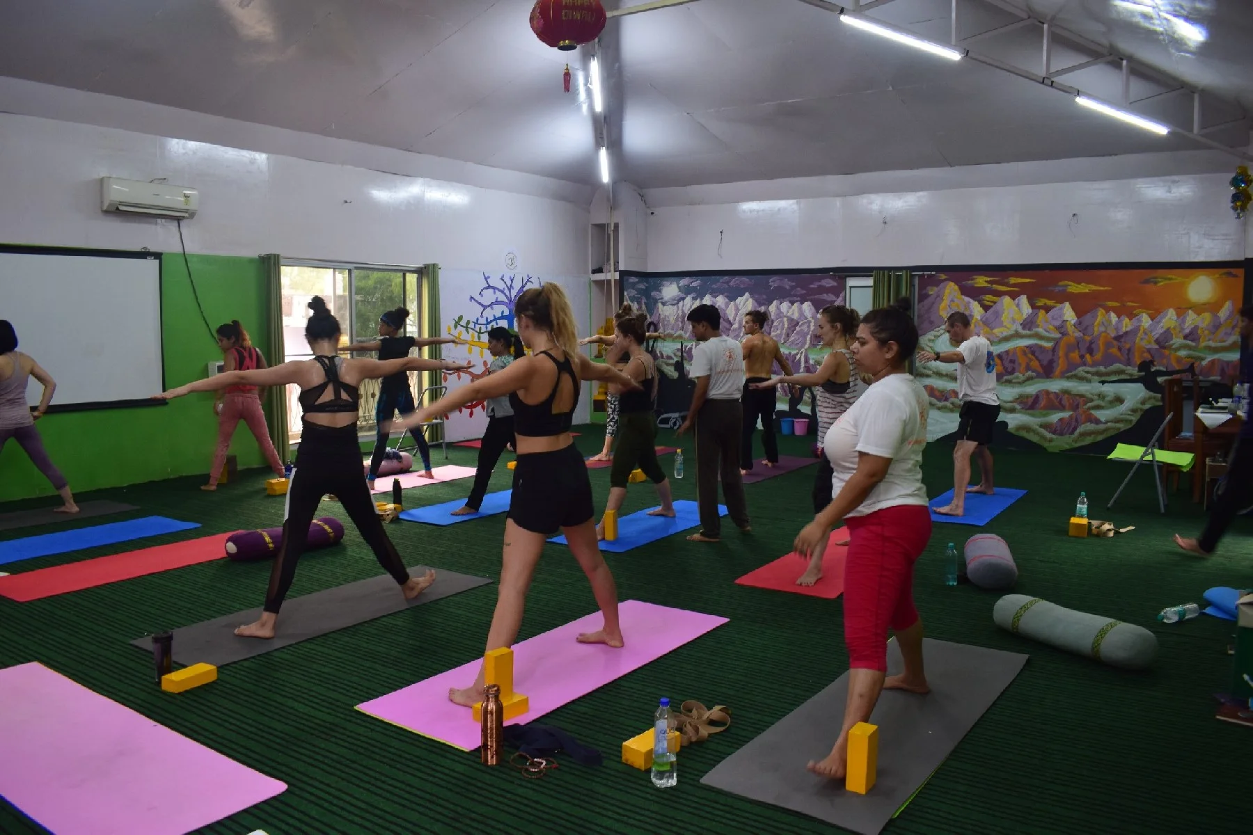 200 hours Multi-Style Yoga Teacher Training-Image18