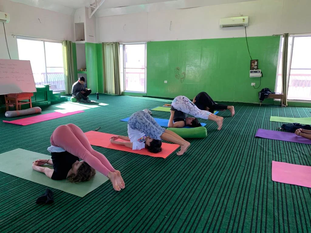 200 hours Multi-Style Yoga Teacher Training-Image23