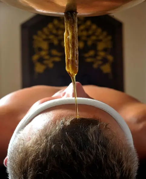 Ayurvedic Hospitals
