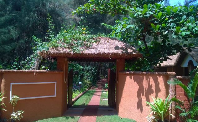 WELLNESS VACATION-Image7