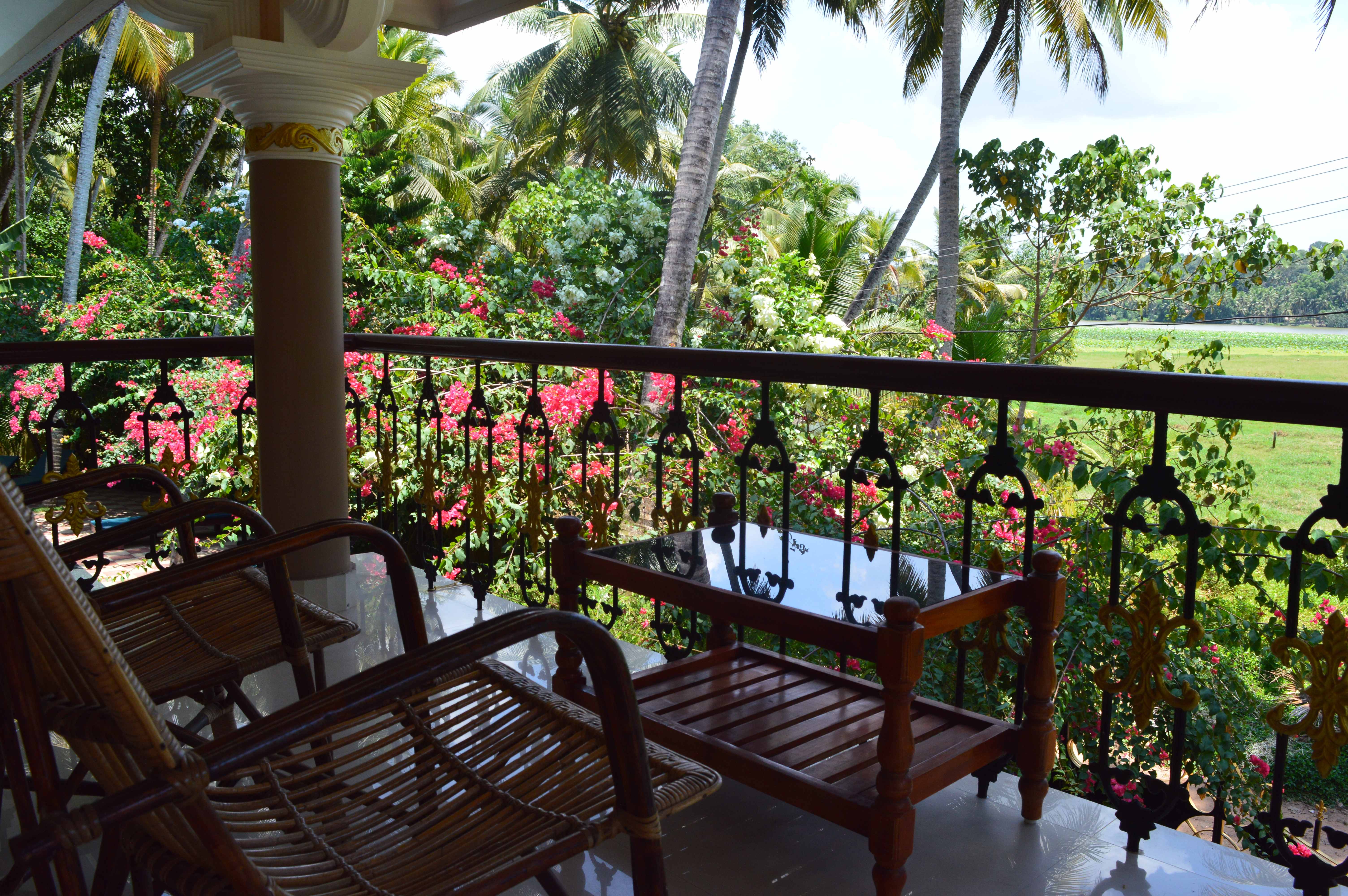 Ayurveda Rejuvenation Therapy(Rasayana Chikilsa-Image7