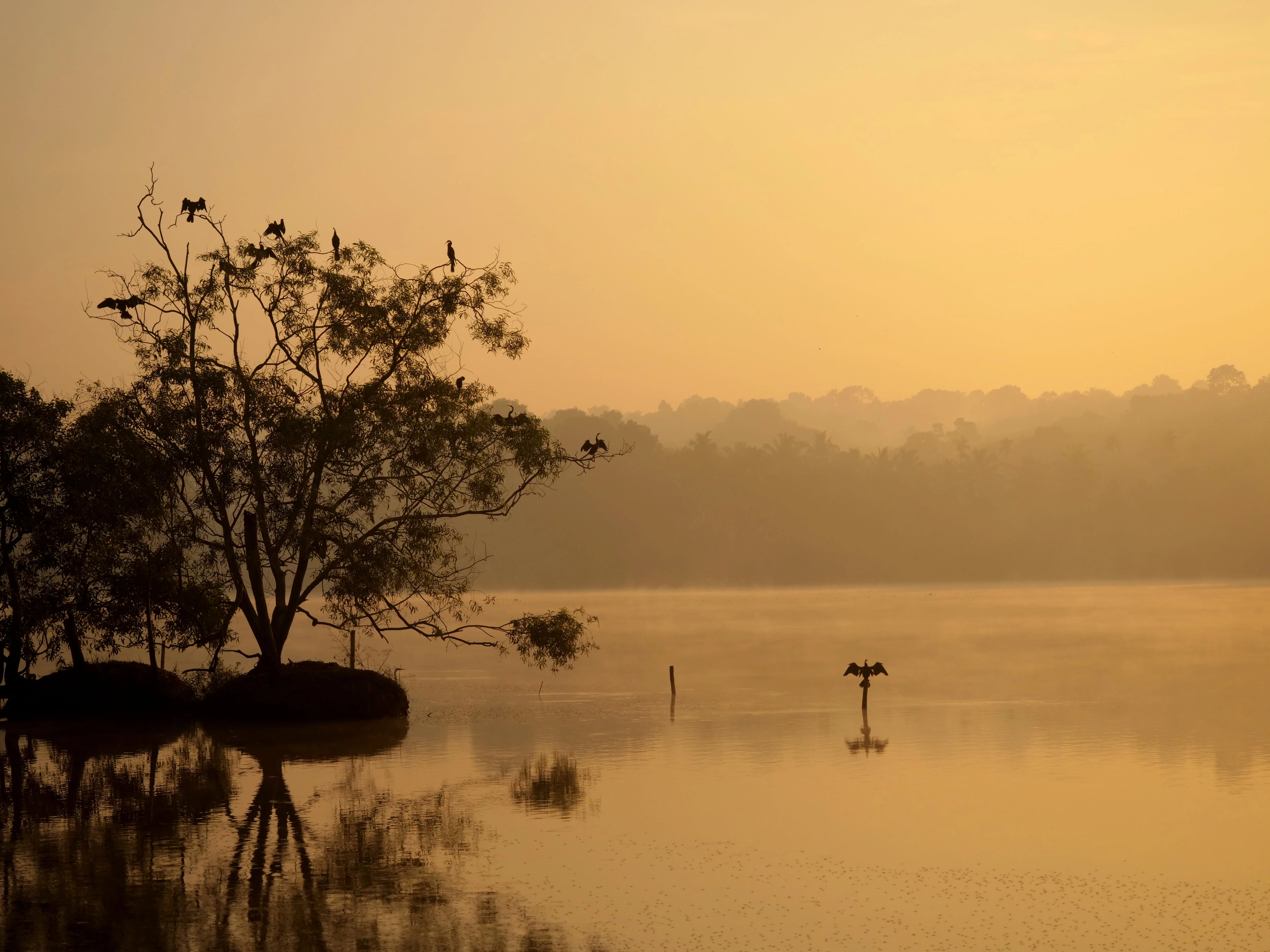 Ganesh Ayurveda Holiday Home-Image14