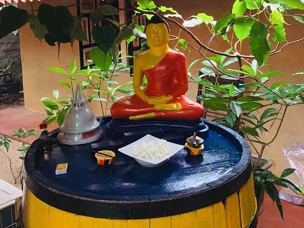 Horiwila Ayurvedic Centre-View-2
