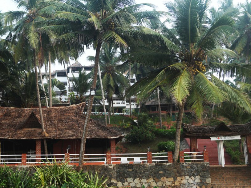 -View-3