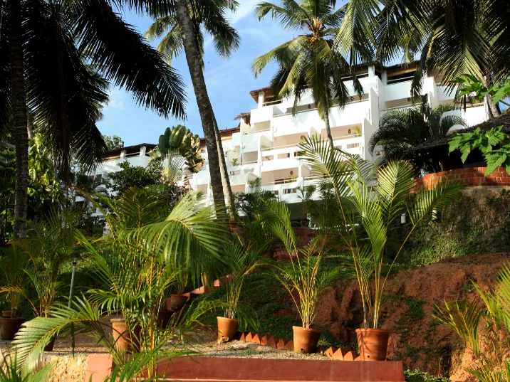 Soma Palm Shore-Image6