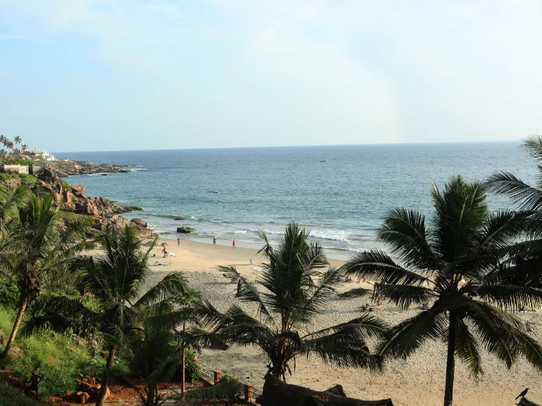 Soma Palm Shore-Image7