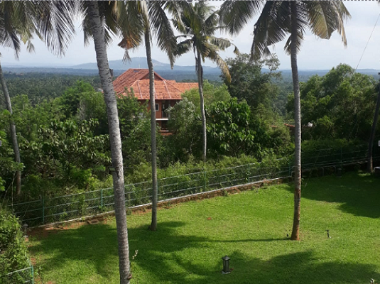 Rejuvenation Program-Image6