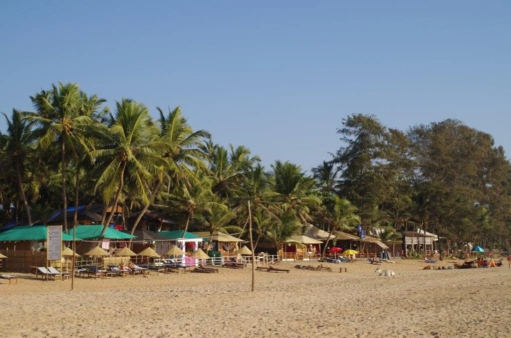 The YogaCave Initiative - Goa-Image12