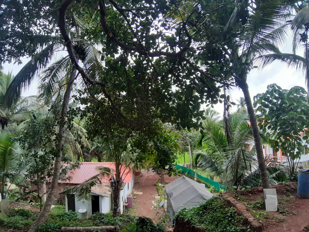 -View-4