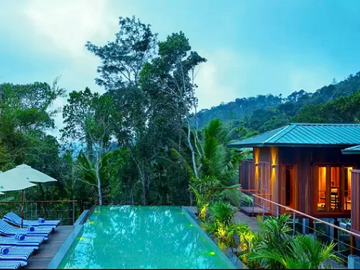 Niraamaya Retreats Cardamom Club-View-2