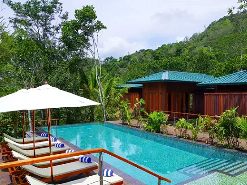 Niraamaya Retreats Cardamom Club-View-3
