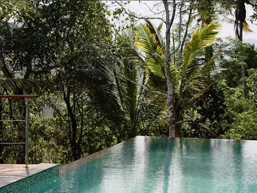 Niraamaya Retreats Cardamom Club-Image11