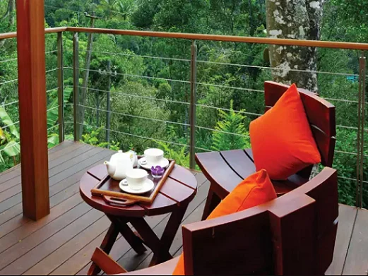 Niraamaya Retreats Cardamom Club-Image10