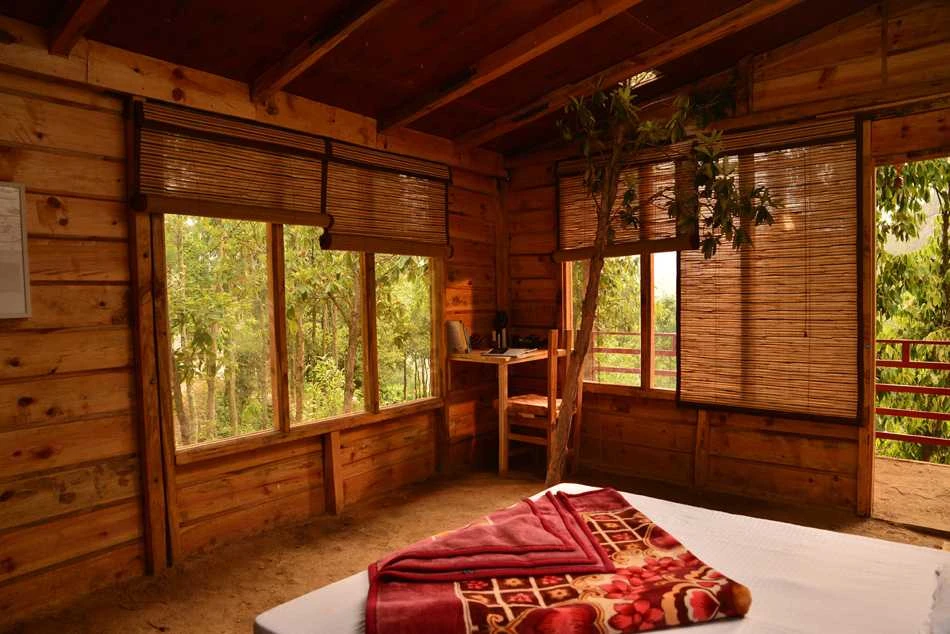 Wellness Break-Image6