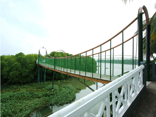 Rajah Island-Image11