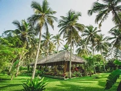 Sitaram Ayurveda Beach Retreat-MainView