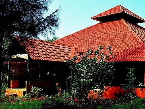 Vaidyagrama-Image11