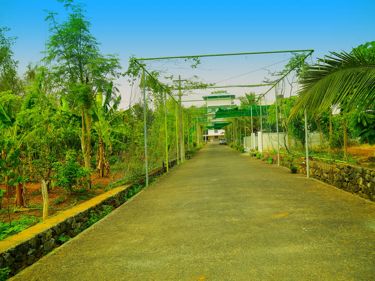 Ayur Bethaniya Ayurveda Hospital-Image9