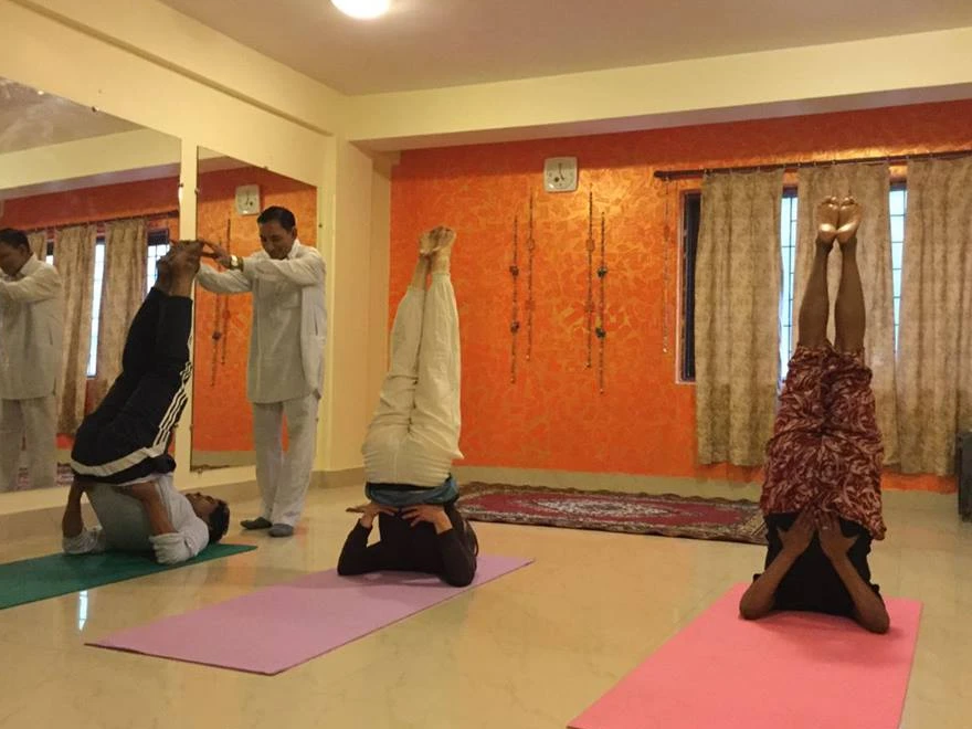 Shivani Ayurveda-Image7