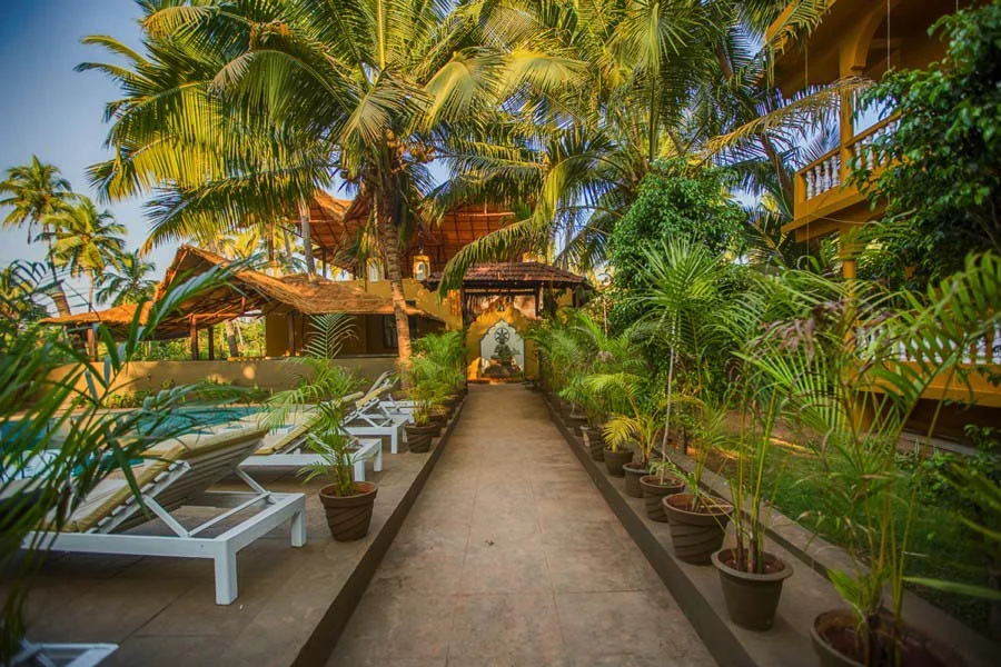 Yoga and Meditation Retreat-Image7